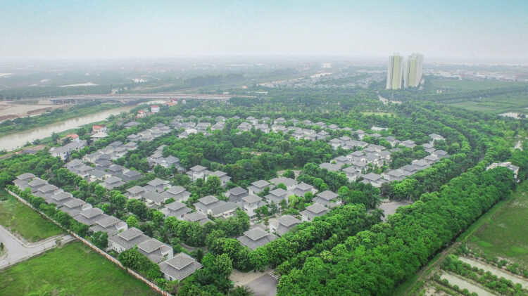 Hình thực tế biệt thự vườn mai Ecopark