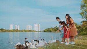 Cảm xúc hồ thiên nga dự án Ecopark