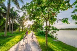 Cây xanh dự án Ecopark Long An 5