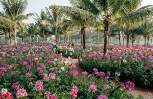 Cây xanh dự án Ecopark Long An 9