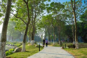 Cuộc sống xanh dự án Ecopark 3