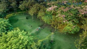 Cuộc sống xanh dự án Ecopark 4