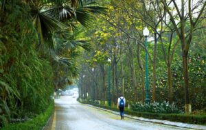 Cuộc sống xanh dự án Ecopark 5