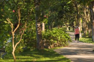 Cuộc sống xanh dự án Ecopark 6