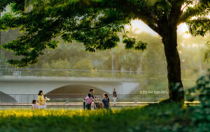 Cuộc sống xanh dự án Ecopark 7