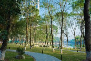 Cuộc sống xanh dự án Ecopark 9