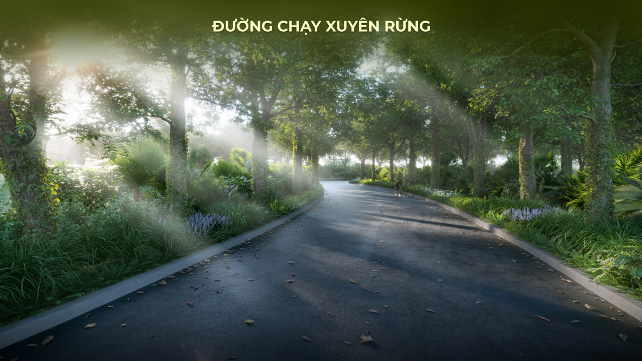 Đường chạy xuyên rừng Eco Retreat Long An