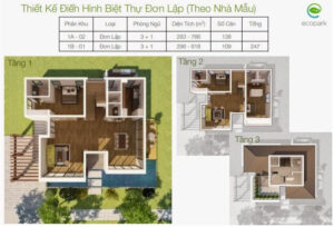 Mặt bằng biệt thự vườn tùng ecopark