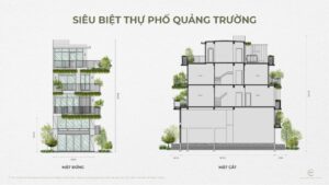 Mặt cắt biệt thự quảng trường The Plaza Ecopark Vinh