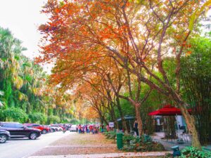 Sinh thái dự án Ecopark