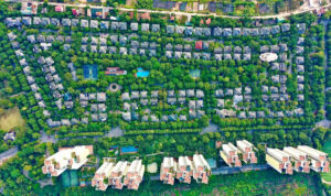 Tổng thể biệt thự vườn Tùng Ecopark 2