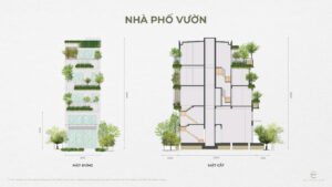 mặt cắt nhà phố vườn the plaza eco central park