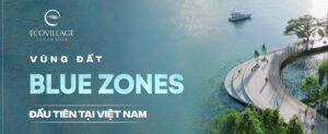 vùng đất blue zone Eco Village Saigon River