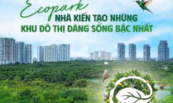 Những dự án chất lượng đã làm nên thương hiệu Ecopark