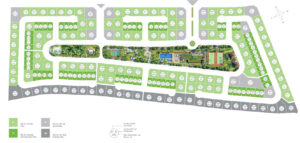 Mặt bằng biệt thự vườn tùng Ecopark