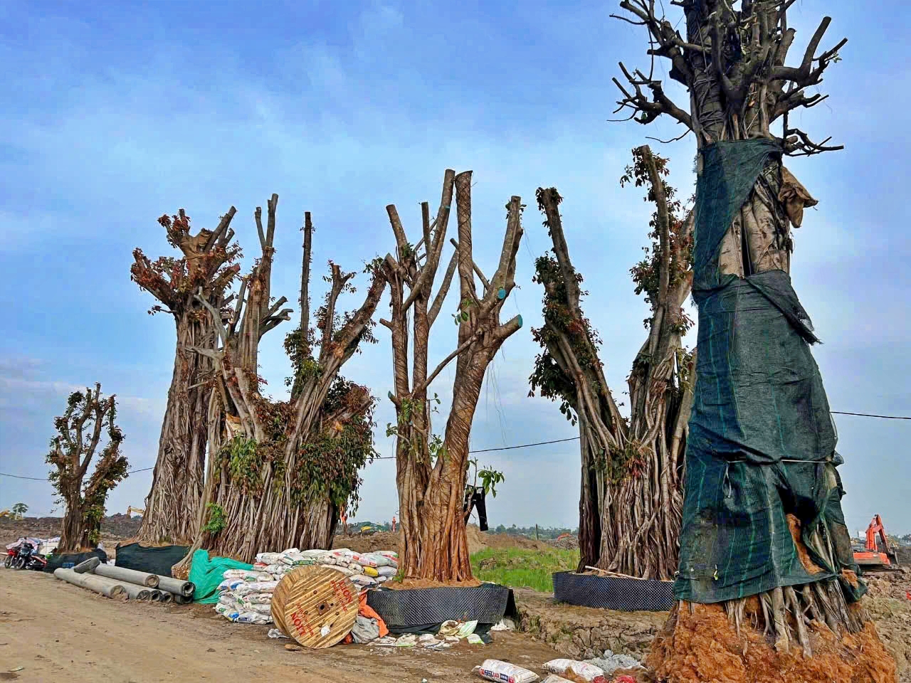 Cây xanh làm cảnh quan Eco Retreat Long An