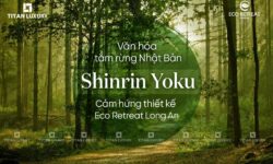 Tắm Rừng Là Gì? Trải Nghiệm Shinrin-yoku Tại Eco Retreat Long An