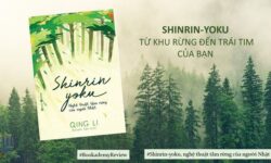 Khám Phá 8km Đường Rừng Tại Eco Retreat – Hành Trình Tắm Rừng Đỉnh Cao