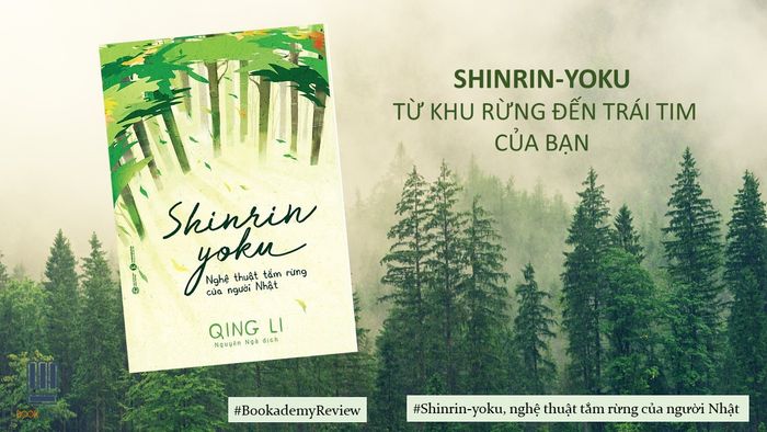Tắm Rừng Là Gì? Trải Nghiệm Shinrin-yoku Tại Eco Retreat Long An 5 tắm rừng eco retreat
