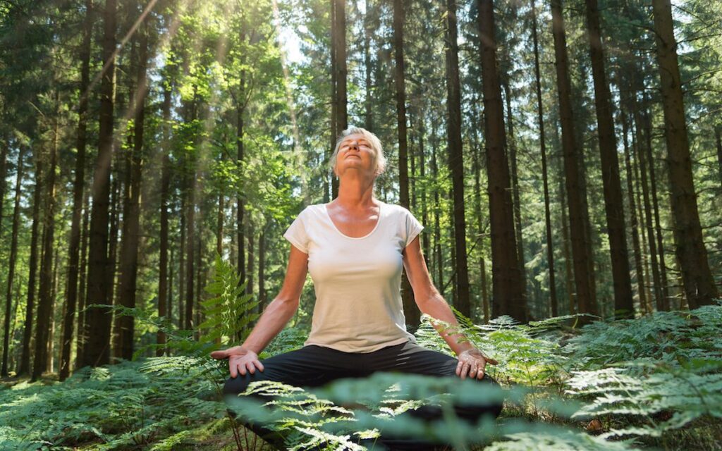 Tắm Rừng Là Gì? Trải Nghiệm Shinrin-yoku Tại Eco Retreat Long An 7 tắm rừng shinrin yoku eco retreat 2