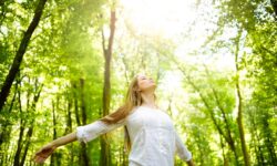 Tắm rừng Shinrin yoku: Quy trình trị liệu tại đại công viên xanh