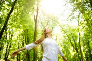 tắm rừng shinrin yoku eco retreat 3