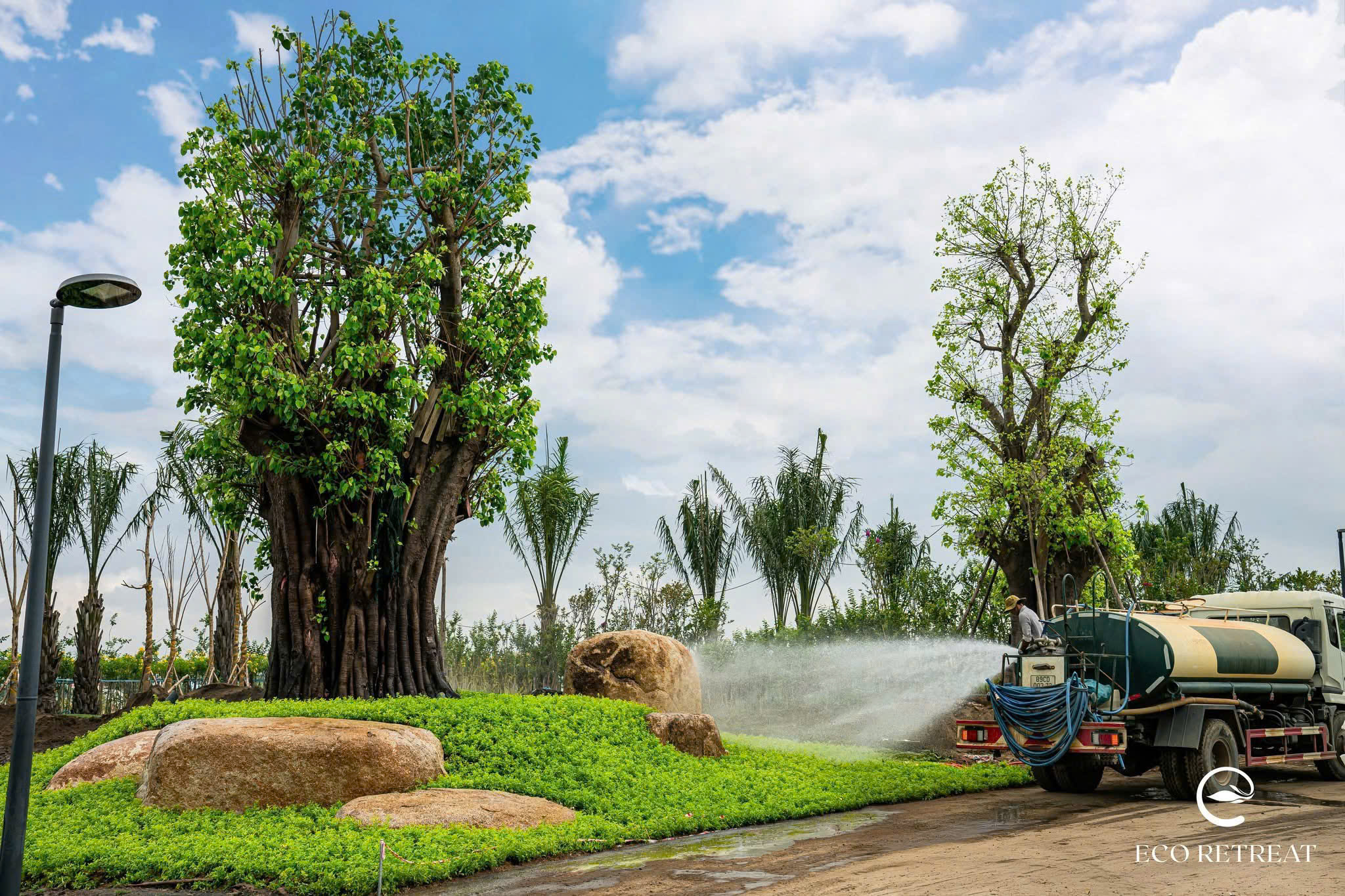 Dự án Eco Retreat - Phòng kinh doanh Ecopark Long An mở bán T4/2025 101 25 Tháng 10, 2025 tien do cay xanh eco retreat t5 2025 10