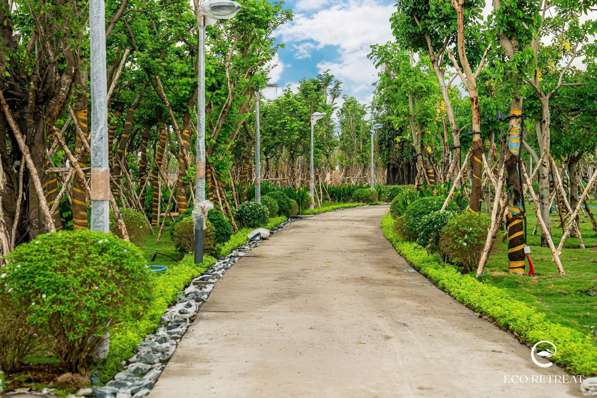 Dự án Eco Retreat - Phòng kinh doanh Ecopark Long An mở bán T4/2025 102 25 Tháng 10, 2025 tien do cay xanh eco retreat t5 2025 11