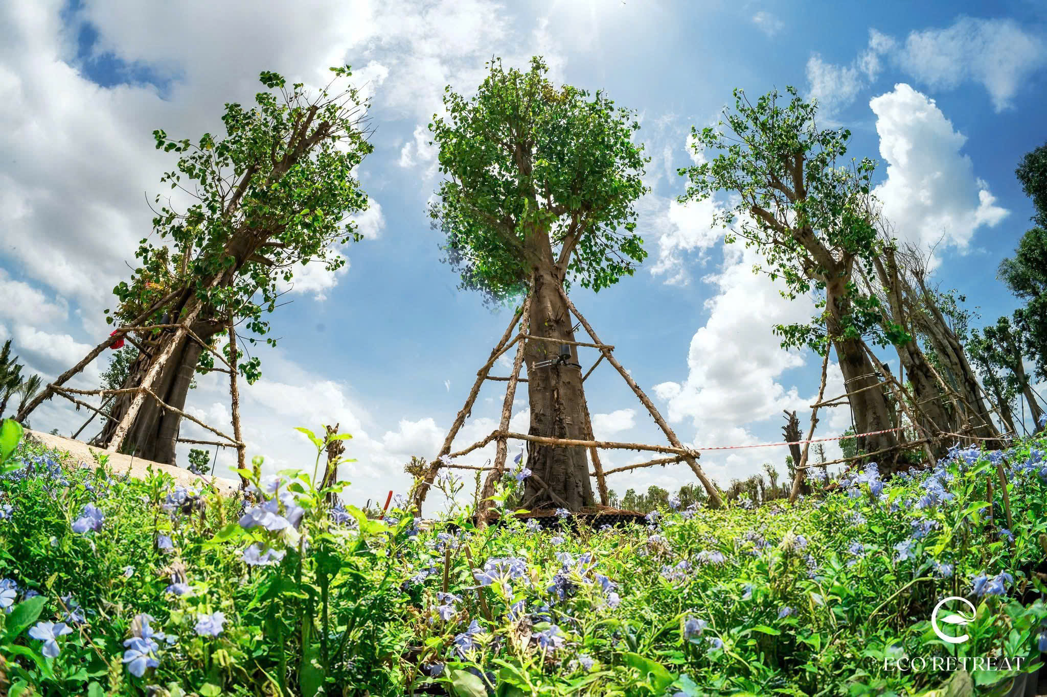 Dự án Eco Retreat - Phòng kinh doanh Ecopark Long An mở bán T4/2025 99 25 Tháng 10, 2025 tien do cay xanh eco retreat t5 2025 9