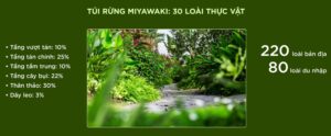 túi rừng miyawaki