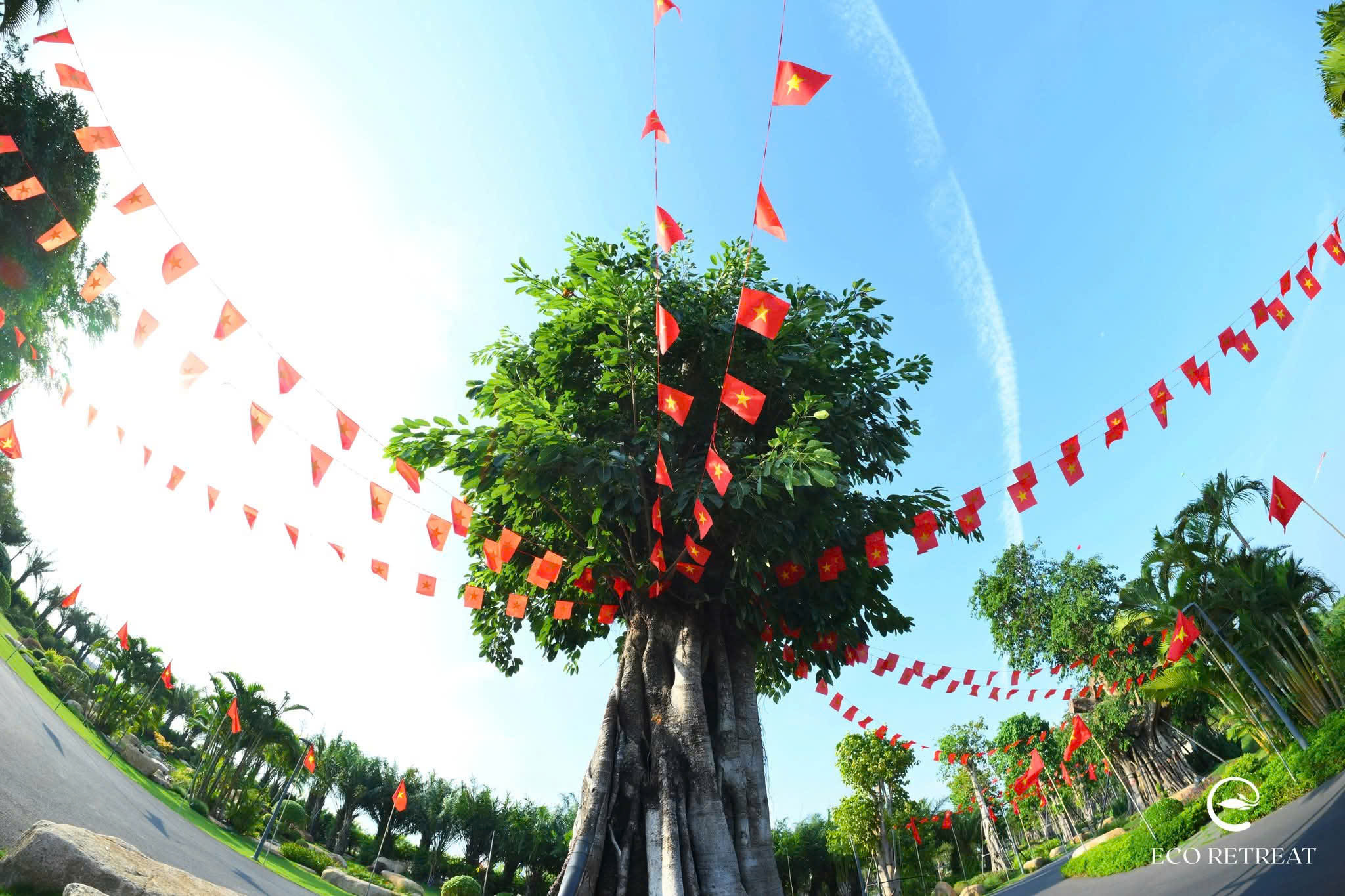 30 Tháng 4, 2026 30 4 2026 Eco Retreat 7