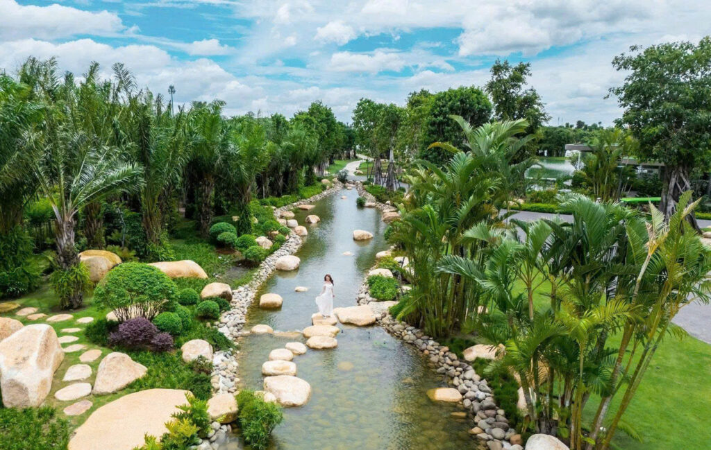 Phytoncide tại Eco Retreat