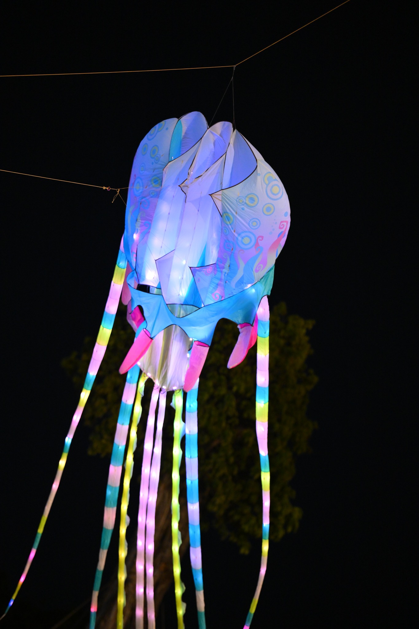 27 Tháng 4, 2026 tha dieu ho thien nga eco retreat 21