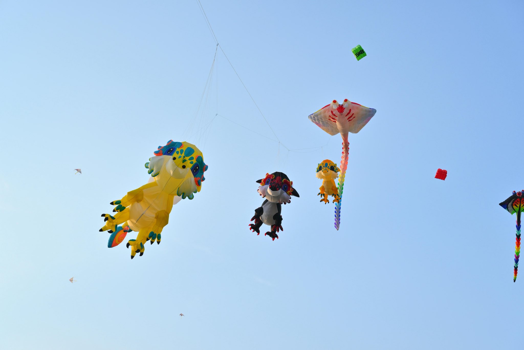 27 Tháng 4, 2026 tha dieu ho thien nga eco retreat 3