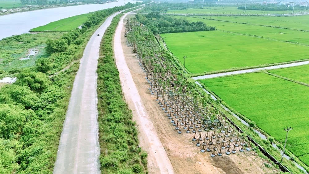 Dự án Ecopark Ninh Bình - Khu đô thị hoàn chỉnh đầu tiên tại Ninh Bình triển khai 2026 13 8 Tháng 6, 2026 vuon uom Eco Hoa Lu Ninh Binh 2