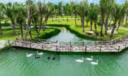 Hệ Sinh Thái D.O.S.E: Công Thức Khoa Học Đằng Sau Cuộc Sống Viên Mãn Tại Eco Retreat